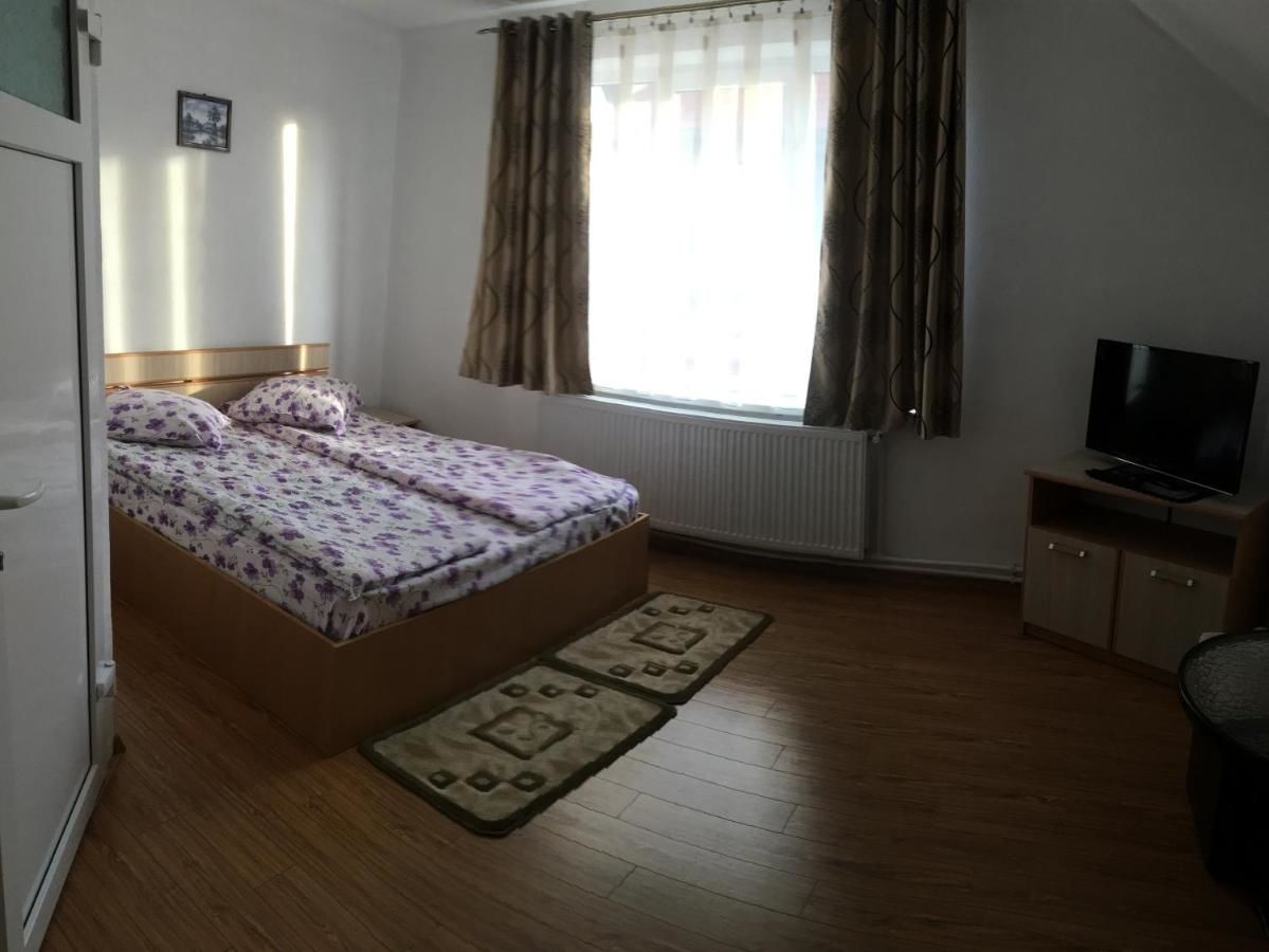 Гостевой дом Casa Sterp Jina-13
