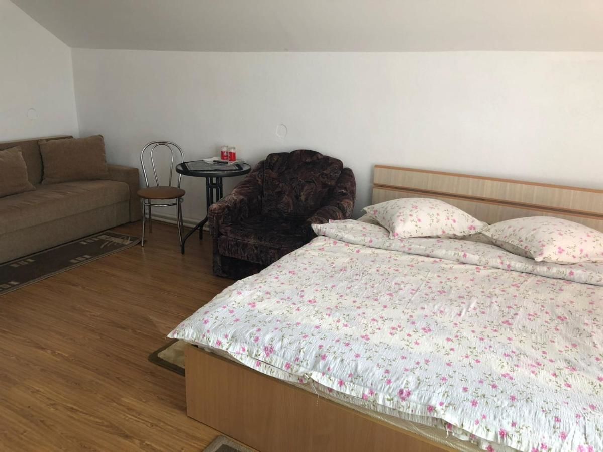 Гостевой дом Casa Sterp Jina-37