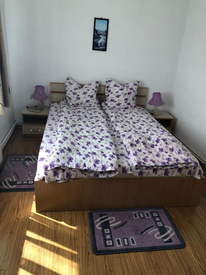 Гостевой дом Casa Sterp Jina-40