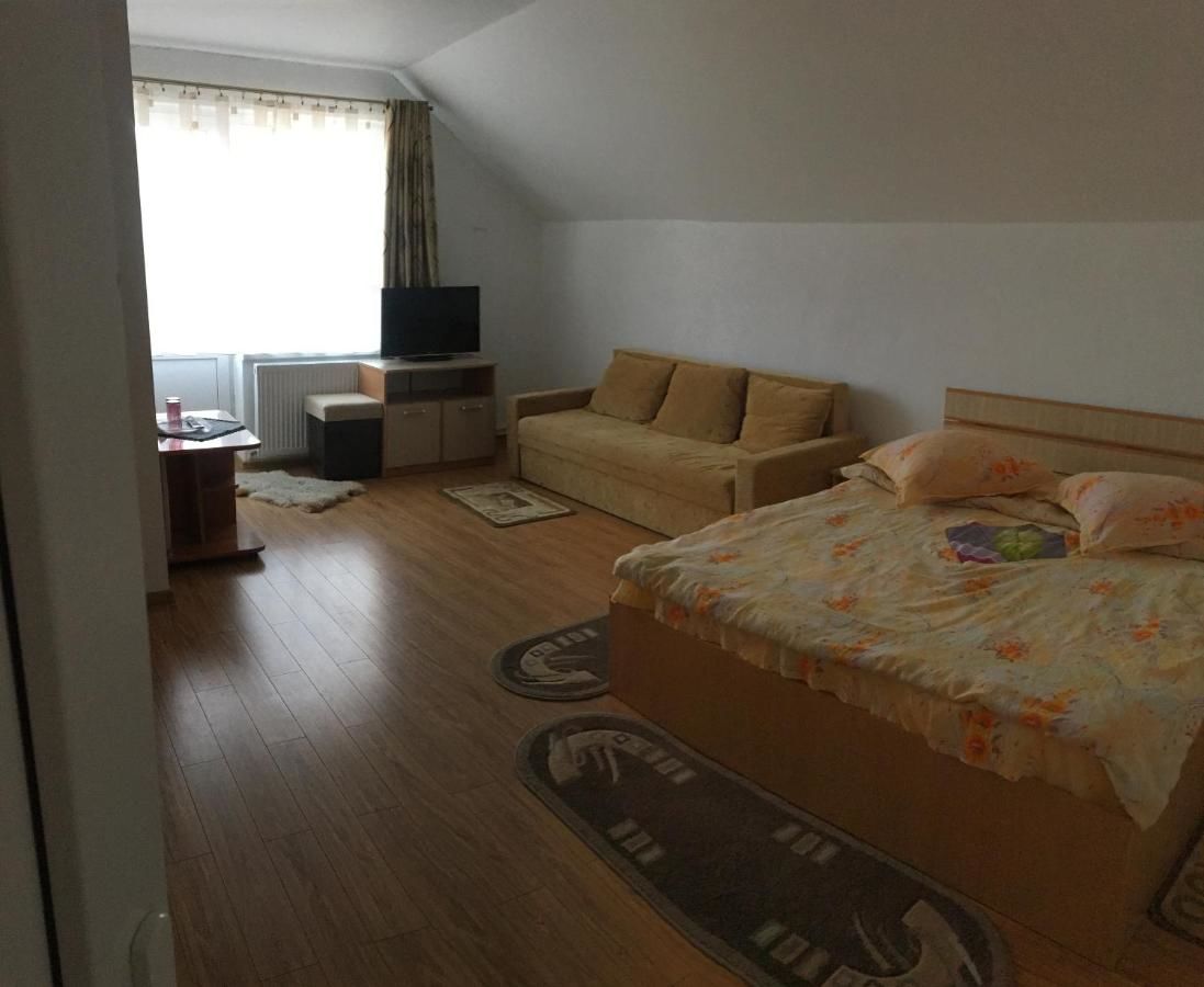 Гостевой дом Casa Sterp Jina-11