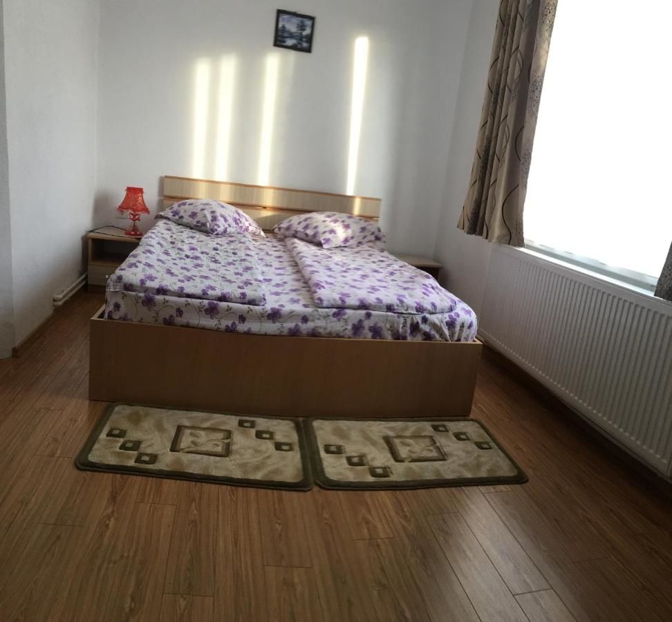 Гостевой дом Casa Sterp Jina-12